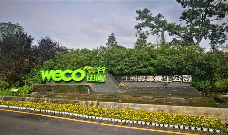 云谷田園.jpg